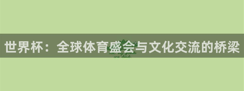 2026年世界杯直播平台：世界杯：全球体育盛会与文化交流的桥梁