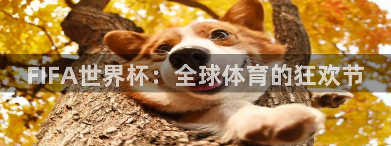 世界杯直播：FIFA世界杯：全球体育的狂欢节
