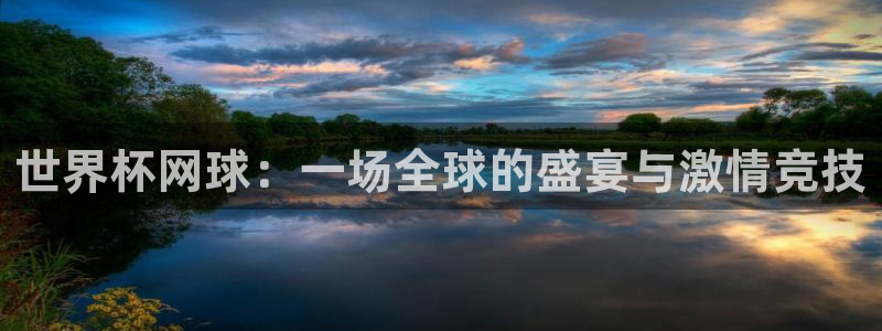 2026世界杯：世界杯网球：一场全球的盛宴与激情竞技