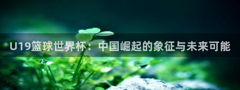 2026世界杯亚洲预选赛赛程：U19篮球世界杯：中国崛起的象征与未来可能