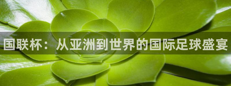 世界杯预选赛欧洲赛区积分榜：国联杯：从亚洲到世界的国际足球盛宴