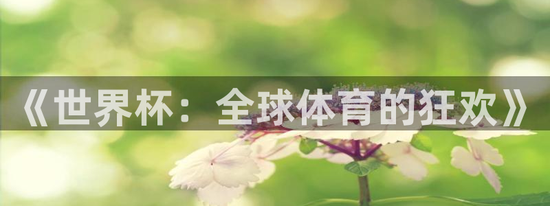 世界杯预选赛欧洲赛区积分榜：《世界杯：全球体育的狂欢》