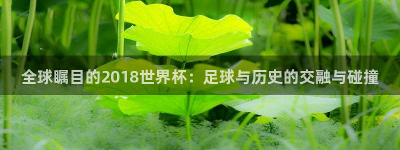 世界杯欧洲区预选赛：全球瞩目的2018世界杯：足球与历史的交融与碰撞