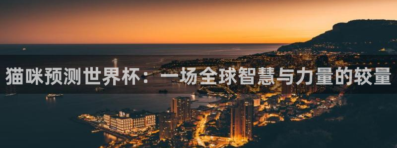 2026世界杯倒计时：猫咪预测世界杯：一场全球智慧与力量的较量