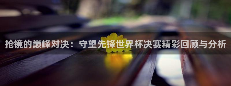 世界杯欧洲区世预赛赛程：抢镜的巅峰对决：守望先锋世界杯决赛精彩回顾与分析