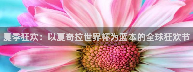 欧洲世界杯预选赛：夏季狂欢：以夏奇拉世界杯为蓝本的全球狂欢节