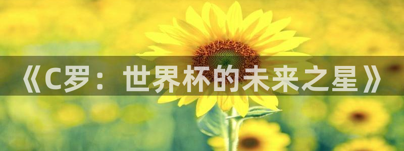 法国杯2026赛程表：《C罗：世界杯的未来之星》