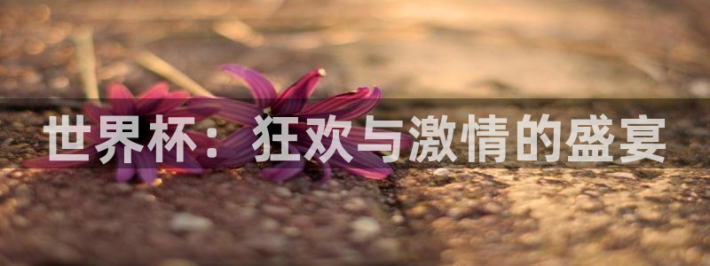 世界杯欧洲区世预赛赛程：世界杯：狂欢与激情的盛宴